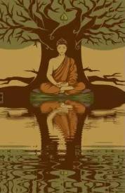 几个意思？欧文更新推特晒水面静坐图片