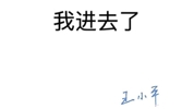 我进去了——王小平