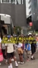 洗脑！尼克斯主帅迈克布朗现在出现总会伴随着Who let dogs out